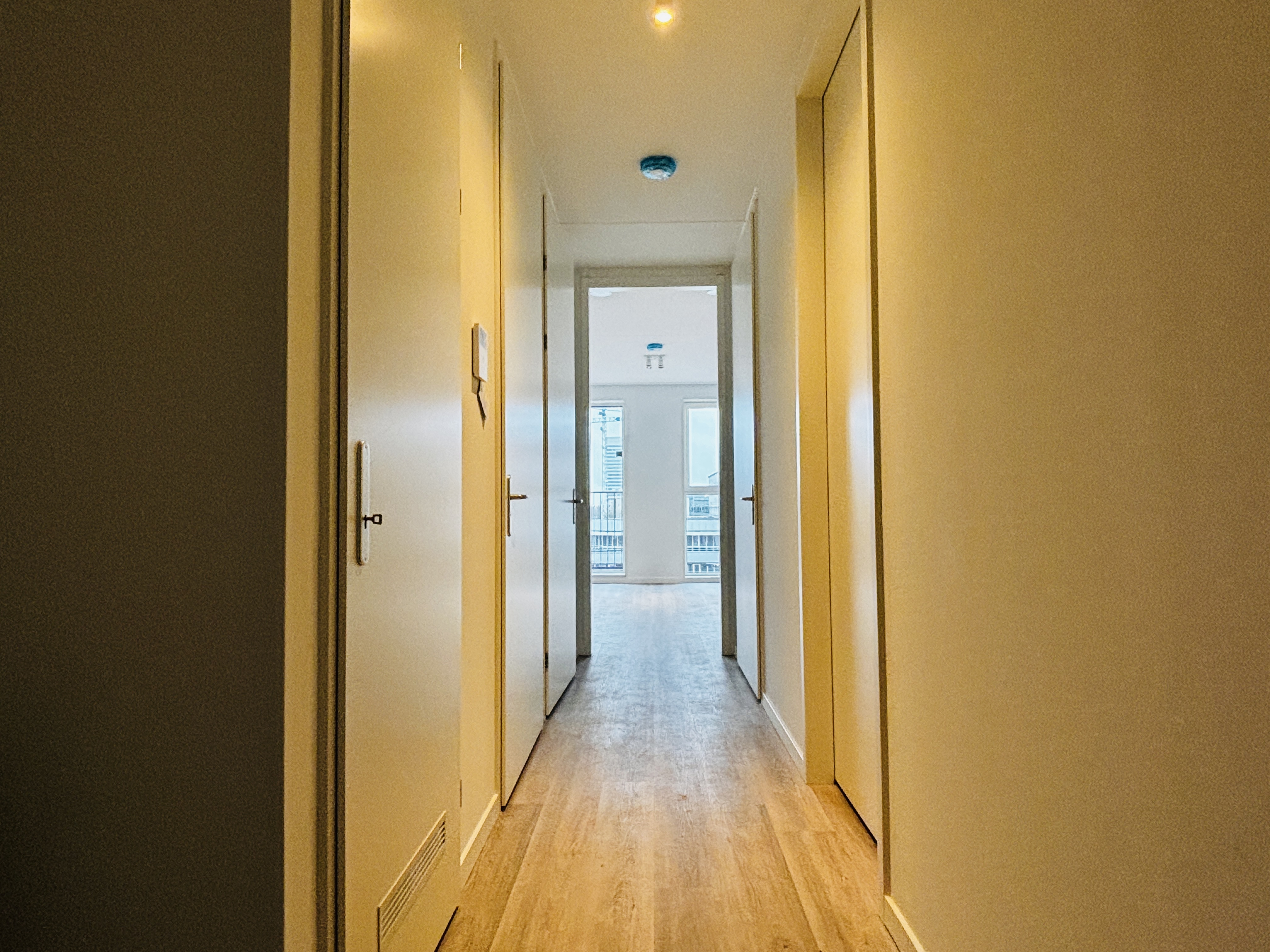 Mies van der Rohestraat 81